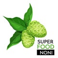 Noni vector icon.