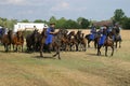 Nonius mares in Hortobagy, Hungary, Hungarian herdsmen