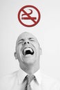 Nonsmoking Royalty Free Stock Photo