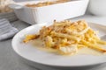 Noodle casserole with macaroni and cheese sauce. Baked with cauliflower and topped with bread crumbs and parmesan cheese. Royalty Free Stock Photo