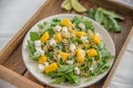 Noodle Salad with mango, feta cheese and arugula Royalty Free Stock Photo