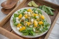 Noodle Salad with mango, feta cheese and arugula Royalty Free Stock Photo