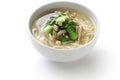 Zha cai rou si mian, chinese noodle dish Royalty Free Stock Photo