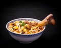 Noodle soup Lagman with large bone Royalty Free Stock Photo