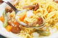 Noodle soup with mushrooms and vegetables Royalty Free Stock Photo