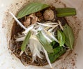 Noodle of traditional thai food. Beef noodles braised taste delicious at Thailand.