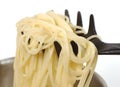 Noodles Royalty Free Stock Photo