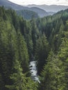 Washington Forest Valley River Landscape Portrait Royalty Free Stock Photo