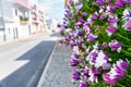 Noon flowers leading down the street in sunny weather Royalty Free Stock Photo