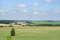 Noon in June. Expanses. Space. Beautiful view of the fields and coppice on a sunny day