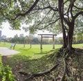 Noon view of Governor-General Akashi Motojiro's Cemetery Former Site