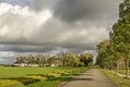 Polder road, trees and farm