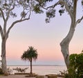 Noosa beach at sunrise Royalty Free Stock Photo