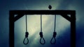 Nooses Hanging on the Gallows with a Raven in a Rainy Day