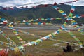 NOPAHAI LAKE, CHINA, 16 SEPTEMBER 2011: male traveler sitting on