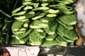 Nopales / Cactus paddles in market