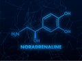 Noradrenaline concept chemical formula icon label, text font vector illustration Royalty Free Stock Photo