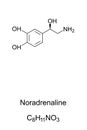 Noradrenaline molecule, norepinephrine skeletal formula