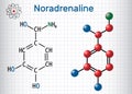 Noradrenaline NA, norepinephrine , NE molecule . It is a ho
