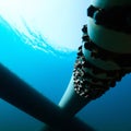Nord stream gas pipeline underwater imaginary illustration Royalty Free Stock Photo