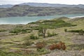 Nordenskjold lake in the Torres del Paine park