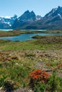 Nordenskjold Lake, Torres del Paine, Patagonia Royalty Free Stock Photo