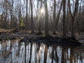 Nordhouse Dunes Wilderness