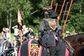 Nordic Knights Tournament