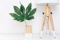 Nordic lamp and tropical leaf, simple decor objects, Scandinavian