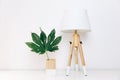 Nordic lamp and tropical leaf, simple decor objects, Scandinavian