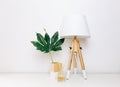 Nordic modern living room with table lamp, home fragrance and tropical leaf.