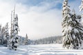 Nordic Trails Winter