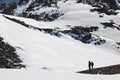 Nordic walkers at Molltaler Glacier, Austria Royalty Free Stock Photo