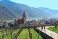 Nordic walkers among the vineyards of the Wachau valley. Lower Austria.