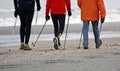 Nordic walking Royalty Free Stock Photo