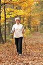 Nordic walking Royalty Free Stock Photo