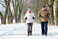 Nordic walking Royalty Free Stock Photo