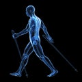 Nordic walking Royalty Free Stock Photo