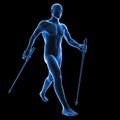 Nordic walking Royalty Free Stock Photo