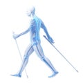 Nordic walking