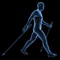 Nordic walking Royalty Free Stock Photo