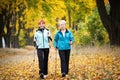 Nordic walking Royalty Free Stock Photo