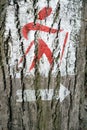 Nordic walking signature on the tree Royalty Free Stock Photo