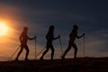 Nordic walking in silhouette