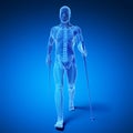 Nordic walking - skeleton Royalty Free Stock Photo