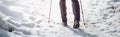 Nordic walking on snow in winter. Royalty Free Stock Photo