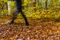 Nordic walking sport run walk motion blur outdoor person legs forest fall autumn Royalty Free Stock Photo