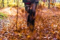 Nordic walking sport run walk motion blur outdoor person legs forest fall autumn Royalty Free Stock Photo