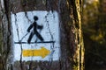 Nordic walking track sign painted on the tree in the forest Royalty Free Stock Photo