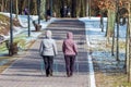 Nordic Walking. Women exercising in the park on a walk